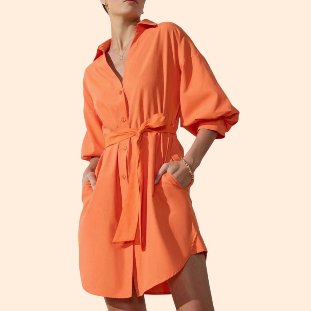 Brochu Walker Kate Mini Dress